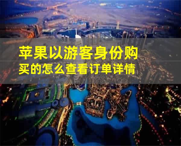 苹果以游客身份购买的怎么查看订单详情