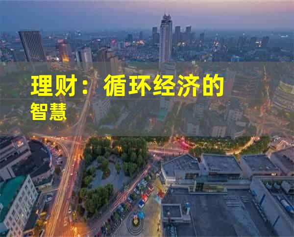 理财：循环经济的智慧