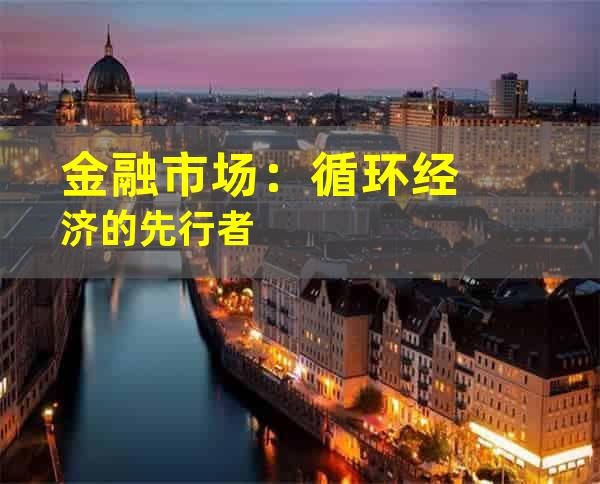 金融市场：循环经济的先行者