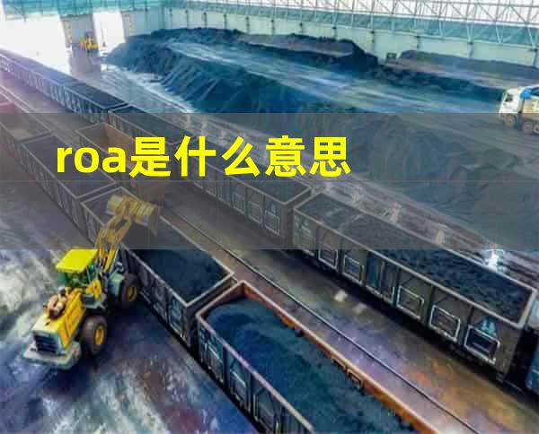 roa是什么意思