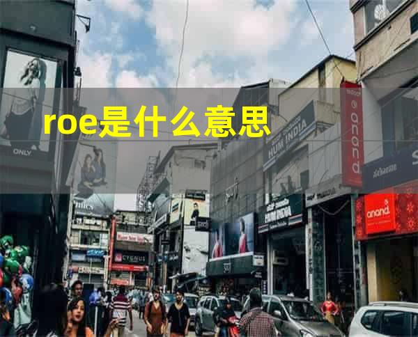 roe是什么意思