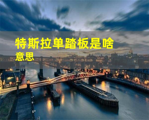 特斯拉单踏板是啥意思