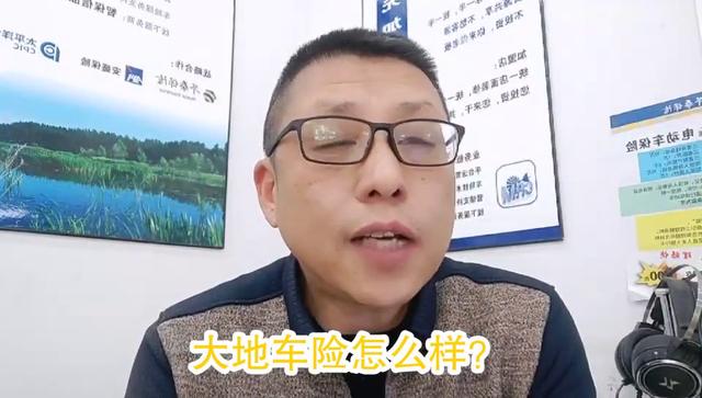 中央资本的6家保险公司之《大地车险》