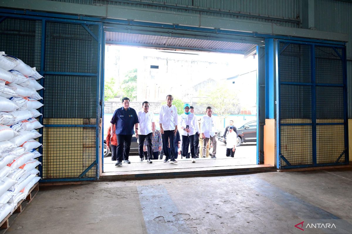 Government continues to secure rice reserves: minister