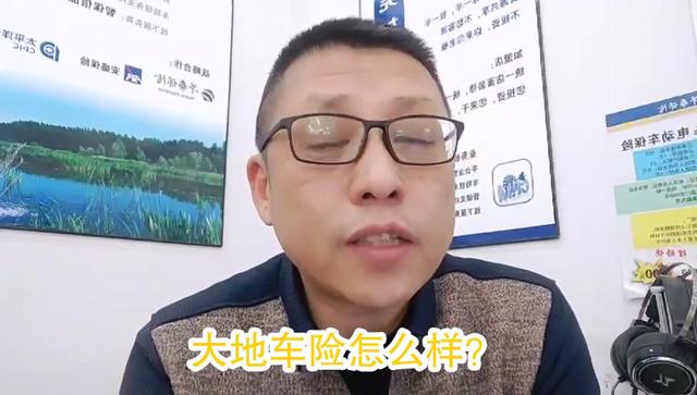 中央资本的6家保险公司之《大地车险》