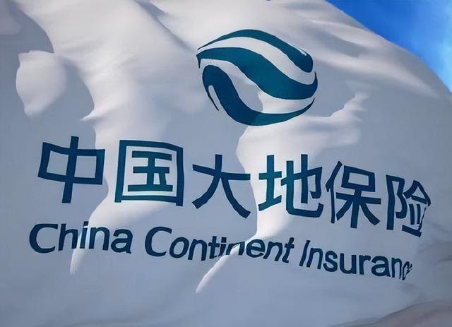 大地保险公司怎么样，可以放心投保吗